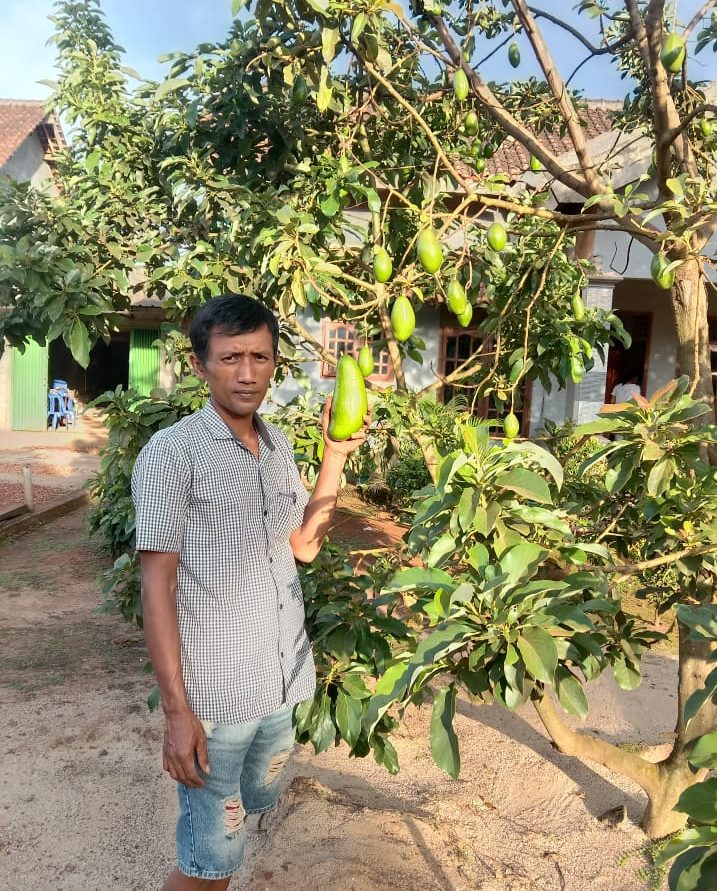 YULIANTO